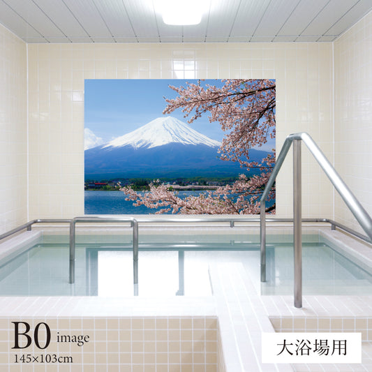 満開の桜と富士山 【業務用サイズ】