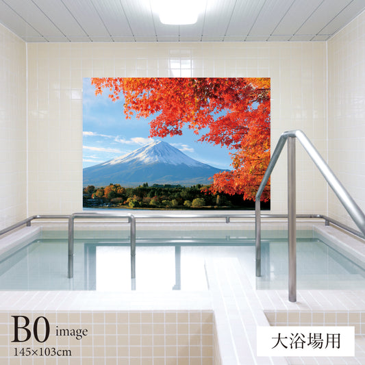 紅葉越しに見る富士山 【業務用サイズ】