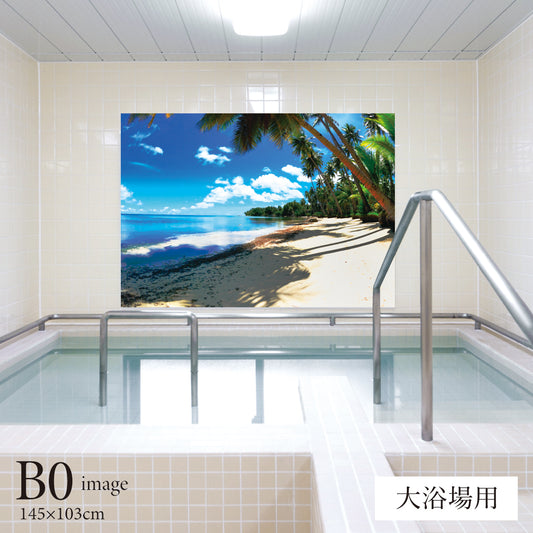 ビーチ 【業務用サイズ】