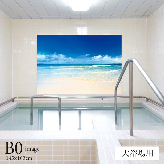 南国の砂浜 【業務用サイズ】