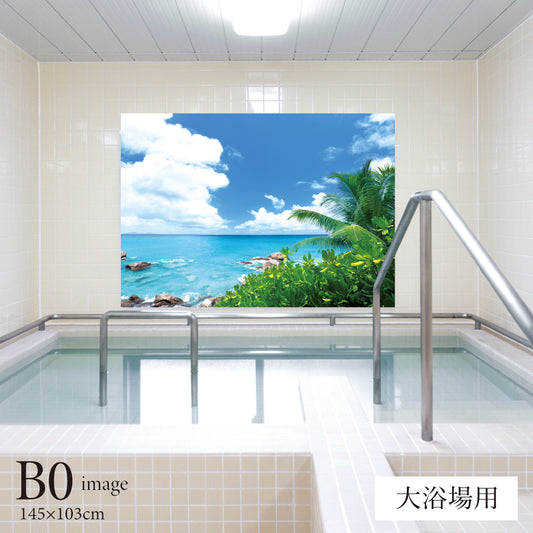 夏の磯 【業務用サイズ】