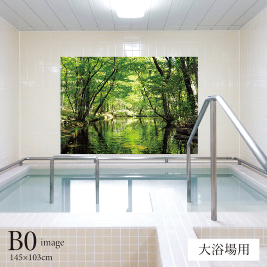 緑の小川 【業務用サイズ】