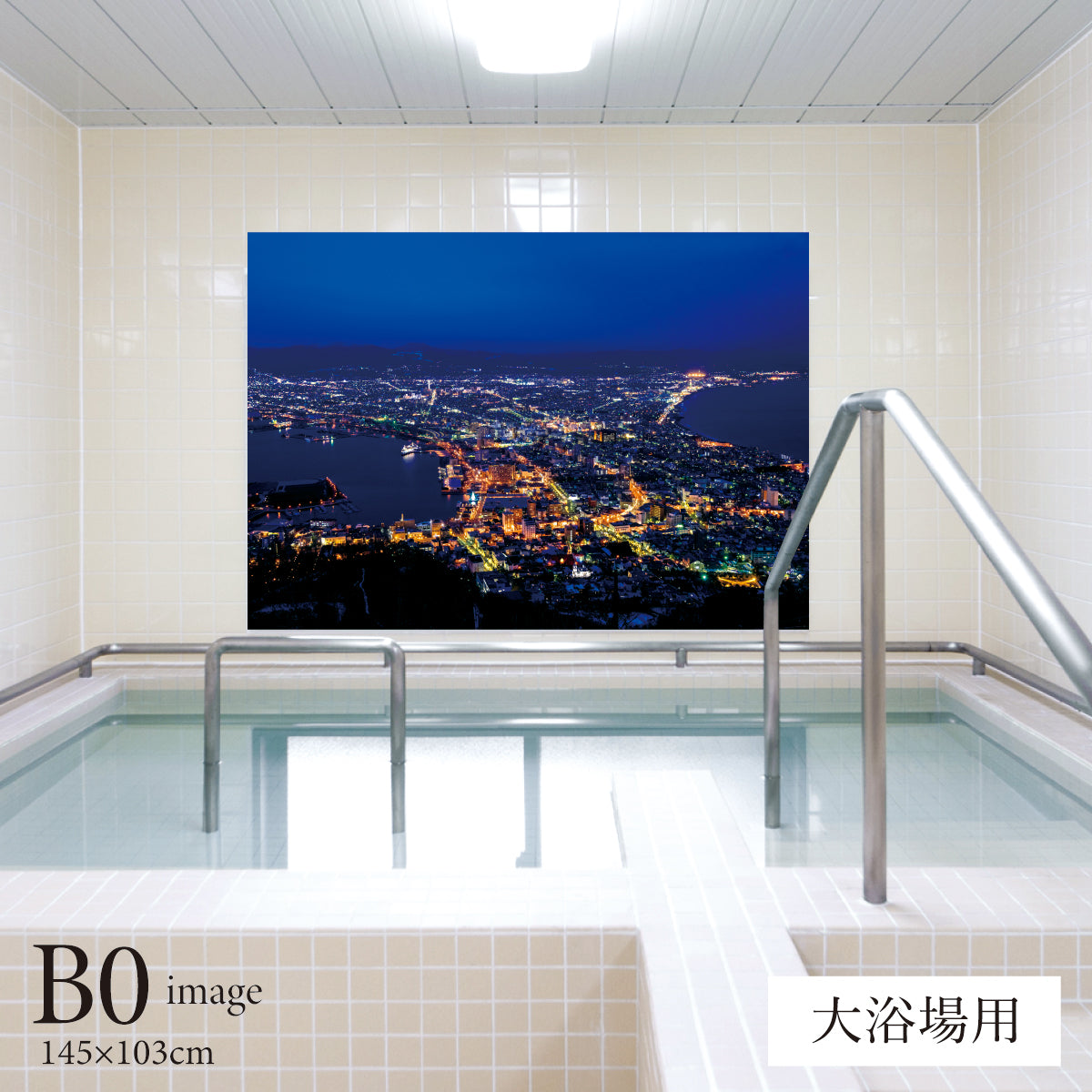 函館の夜景 【業務用サイズ】