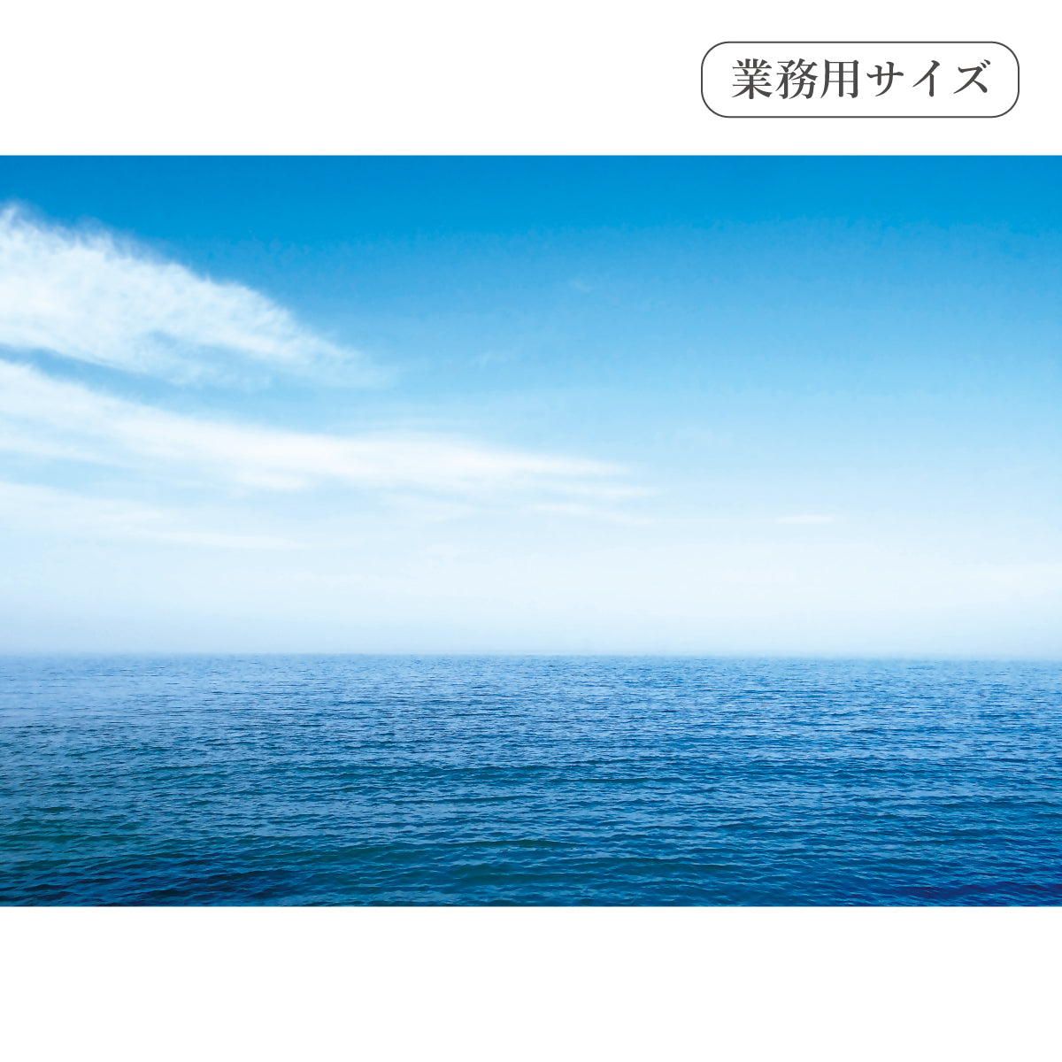 水平線 【業務用サイズ】