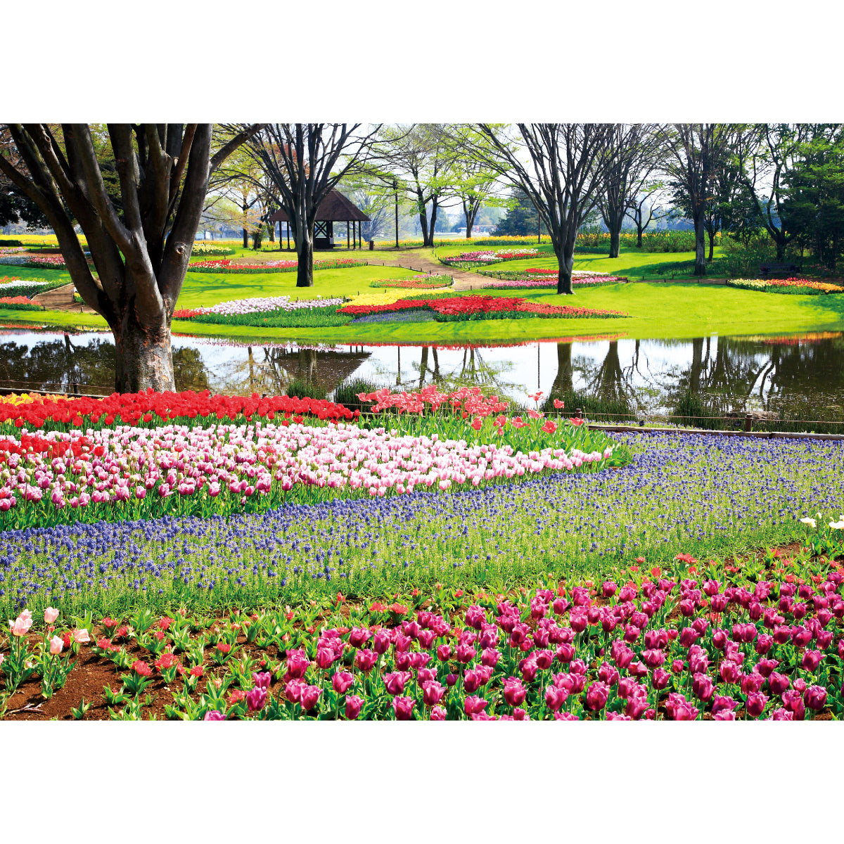 お風呂ポスター 春の花と公園