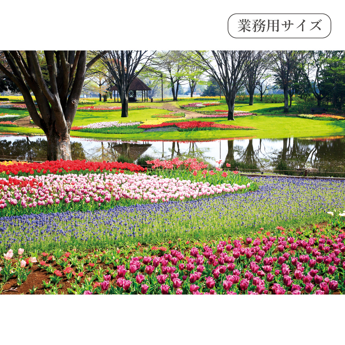 春の花と公園 【業務用サイズ】