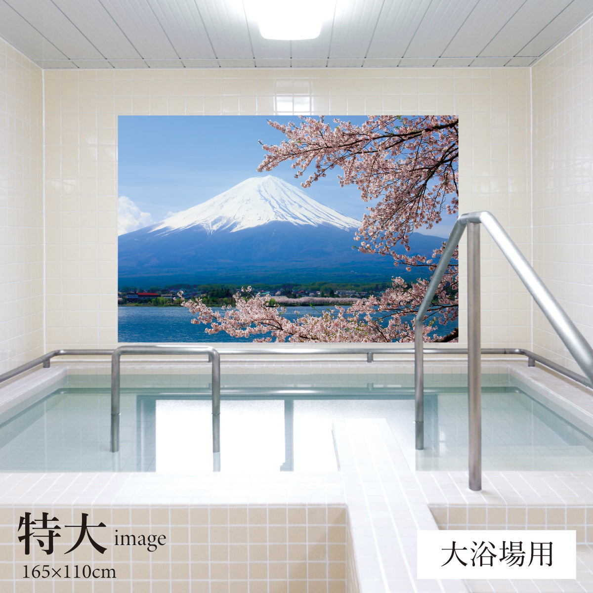 満開の桜と富士山 【業務用サイズ】