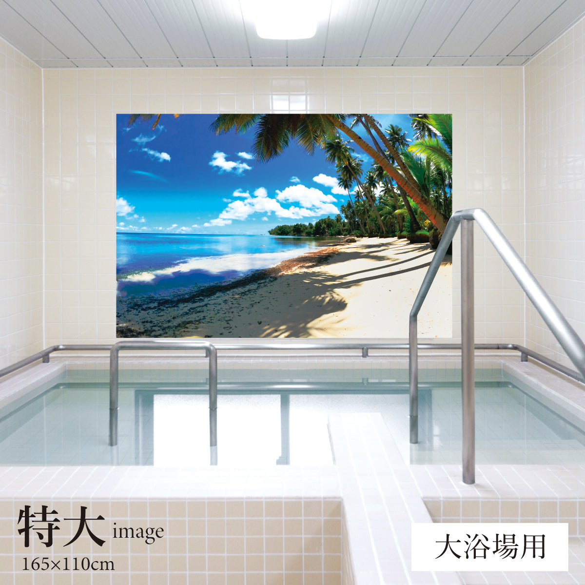 ビーチ 【業務用サイズ】