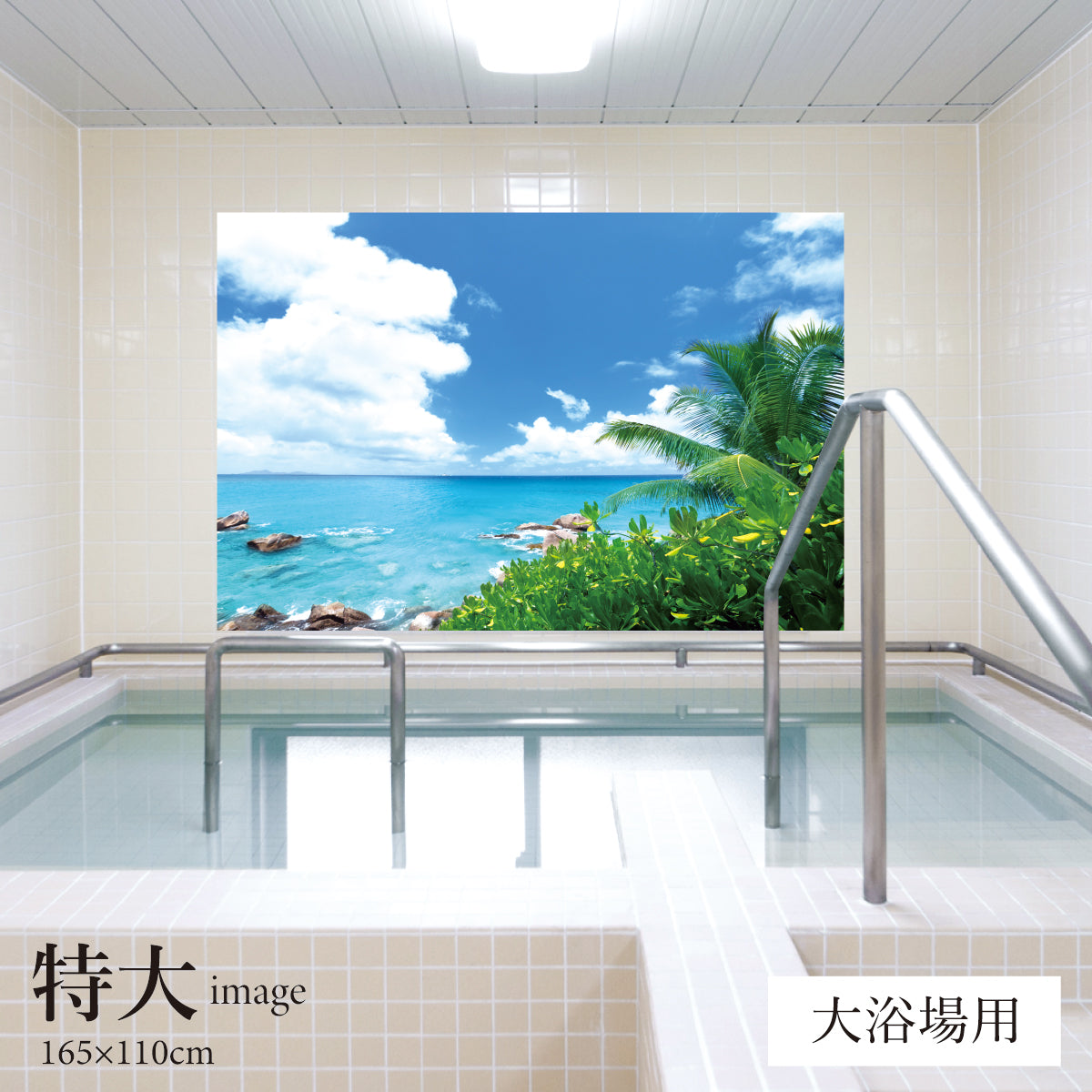 夏の磯 【業務用サイズ】