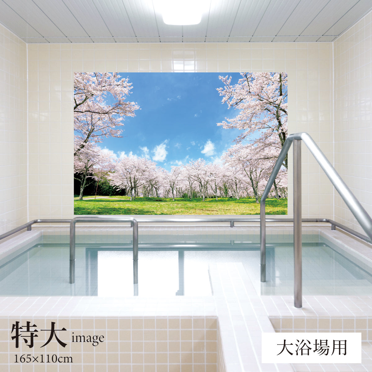 満開の桜 【業務用サイズ】