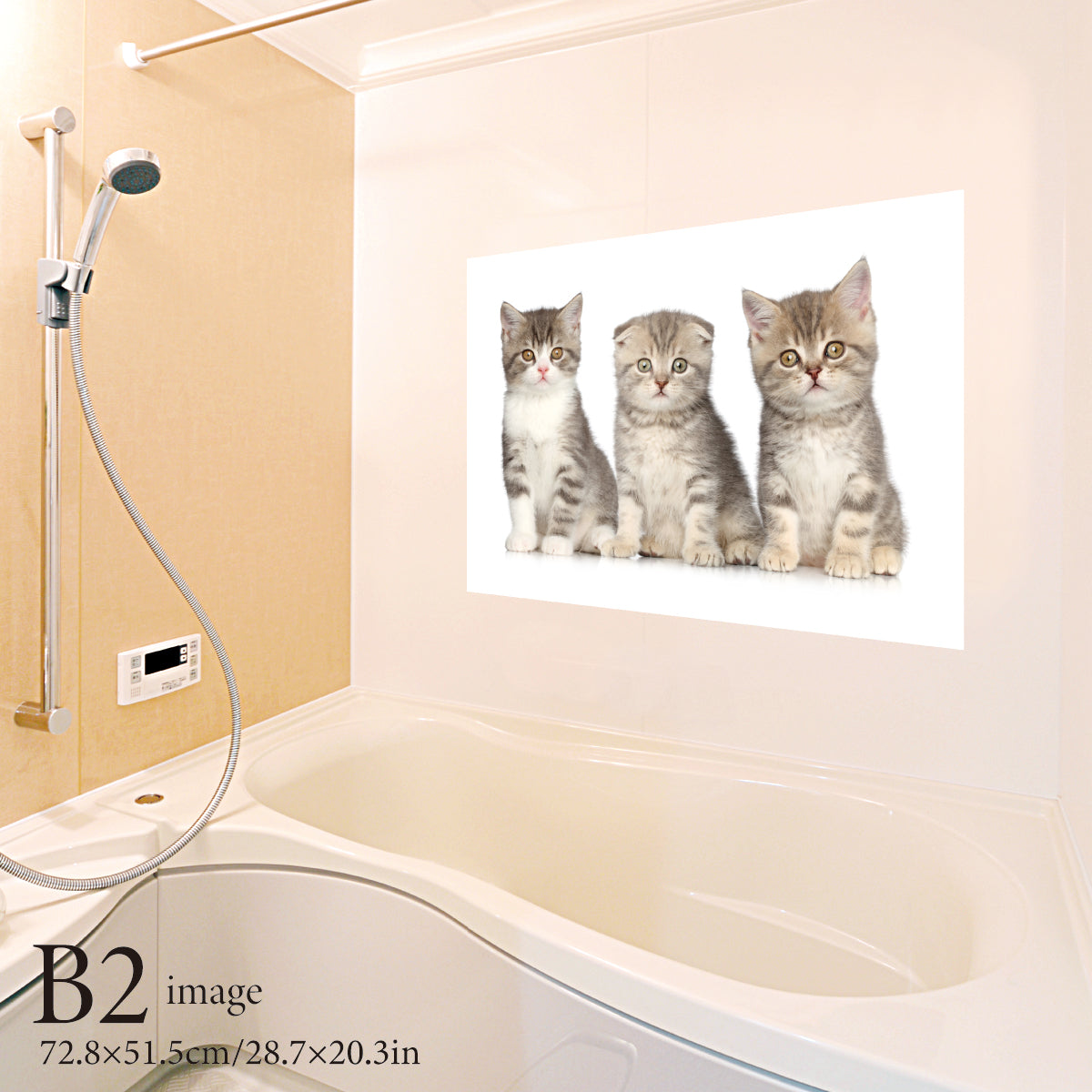 お風呂ポスター かわいい子猫ちゃん B2イメージ