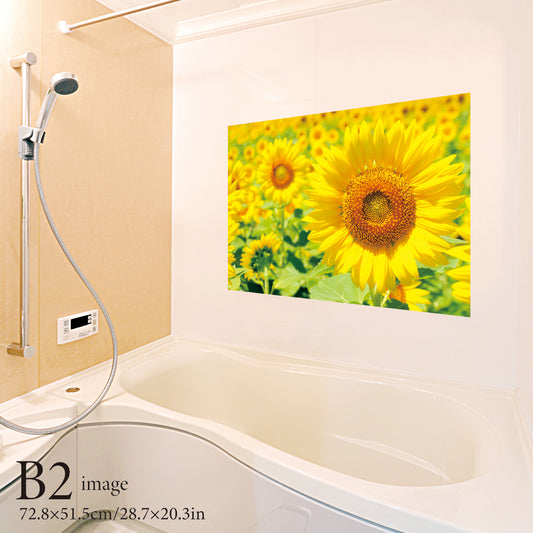お風呂ポスター ひまわり畑 B2イメージ
