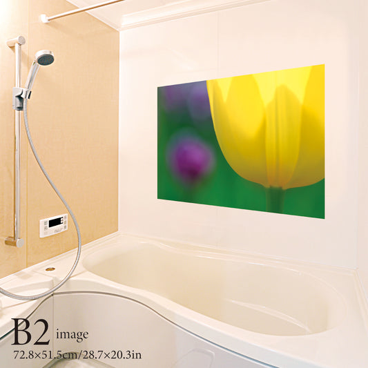 お風呂ポスター チューリップカラー黄 B2イメージ
