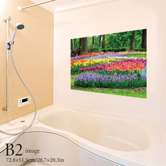 Cherry blossoms and Japanese white-eye