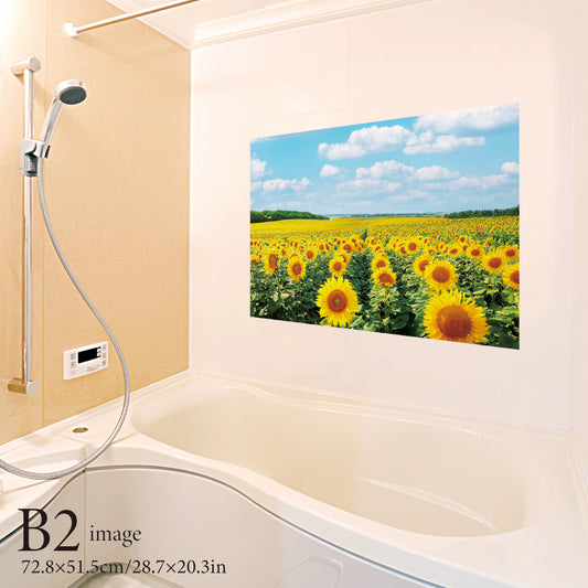 Cherry blossoms and Japanese white-eye