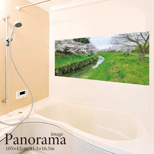 Inverted Fuji (panorama)