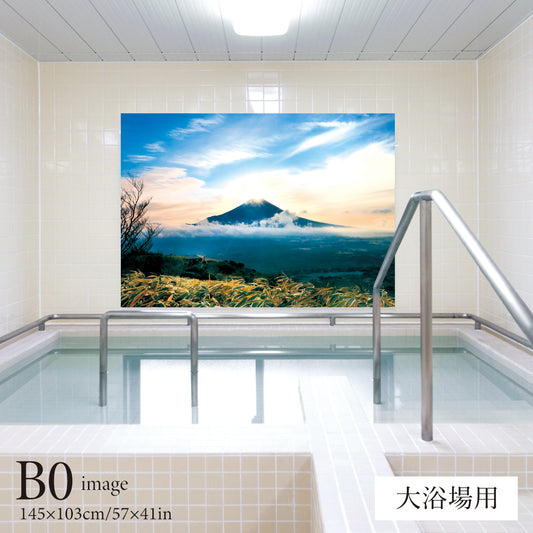 Enoshima and Mt. Fuji (public bath painting)