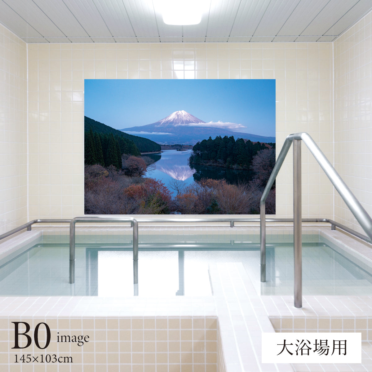 田貫湖の富士山　【業務用サイズ】