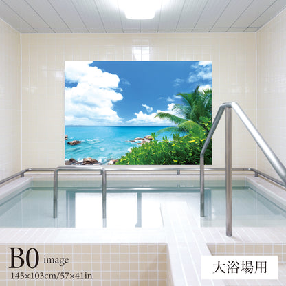 夏の磯　【業務用サイズ】