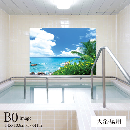 夏の磯　【業務用サイズ】