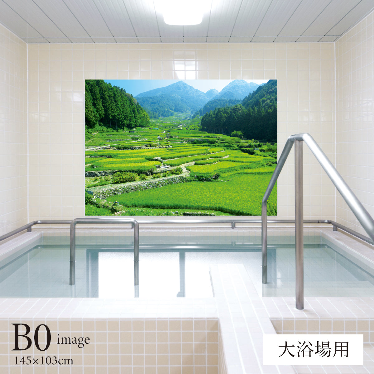 四谷の千枚田　【業務用サイズ】