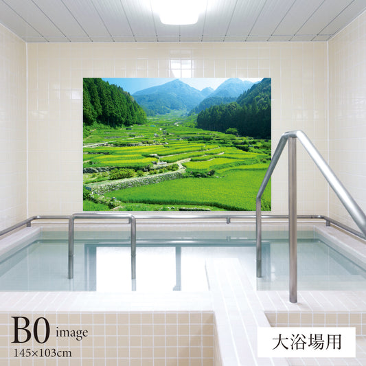 四谷の千枚田　【業務用サイズ】