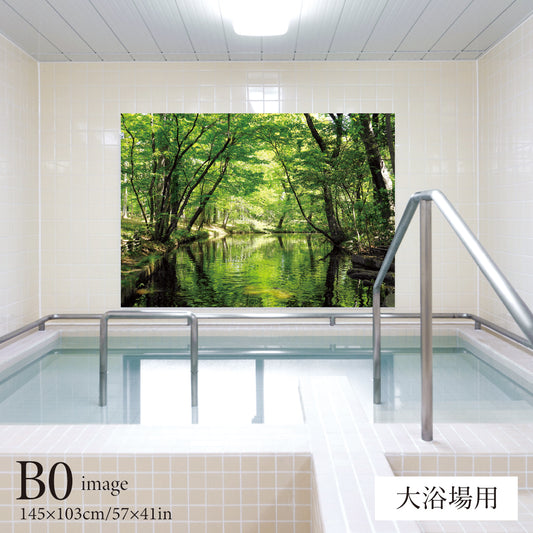 緑の小川　【業務用サイズ】