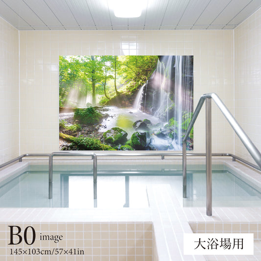 光あふれて　【業務用サイズ】