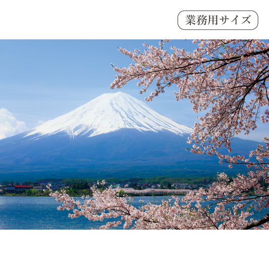 満開の桜と富士山　【業務用サイズ】