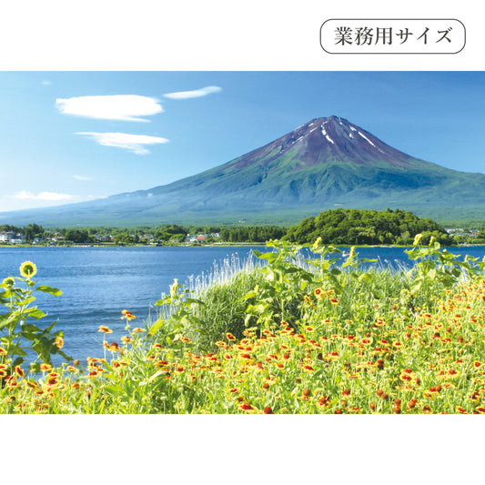 河口湖畔の花と富士山　【業務用サイズ】
