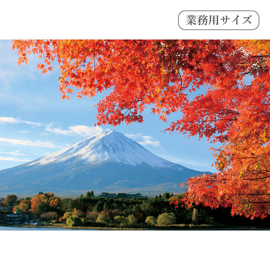 紅葉越しに見る富士山　【業務用サイズ】