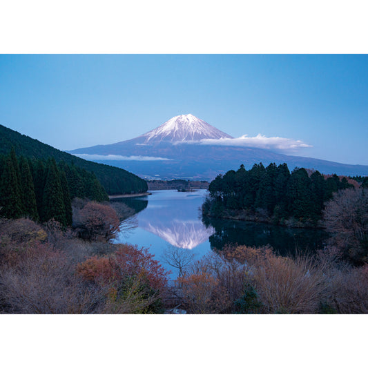 お風呂ポスター 田貫湖の富士山