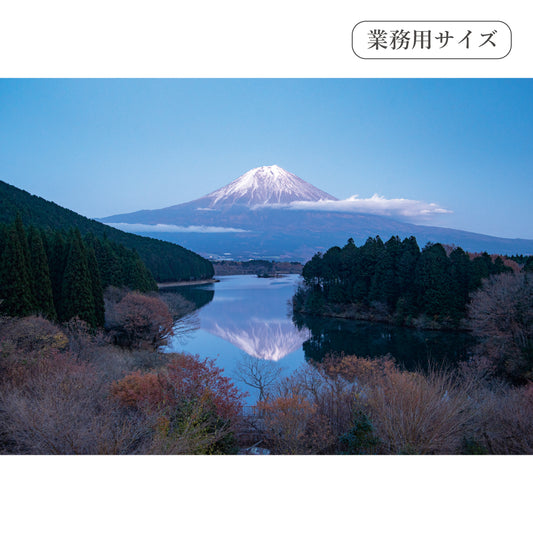 田貫湖の富士山　【業務用サイズ】