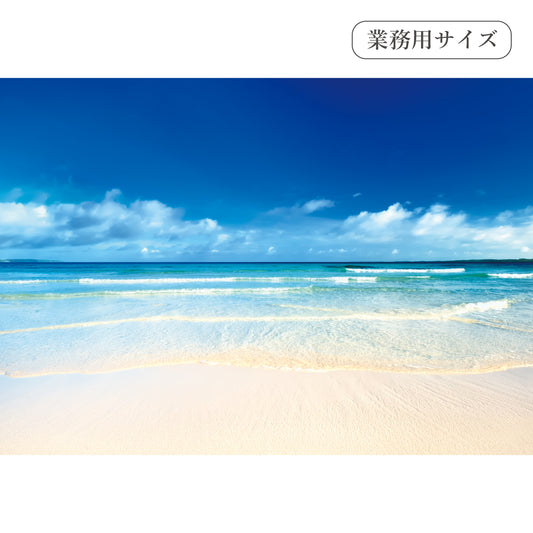 南国の砂浜　【業務用サイズ】