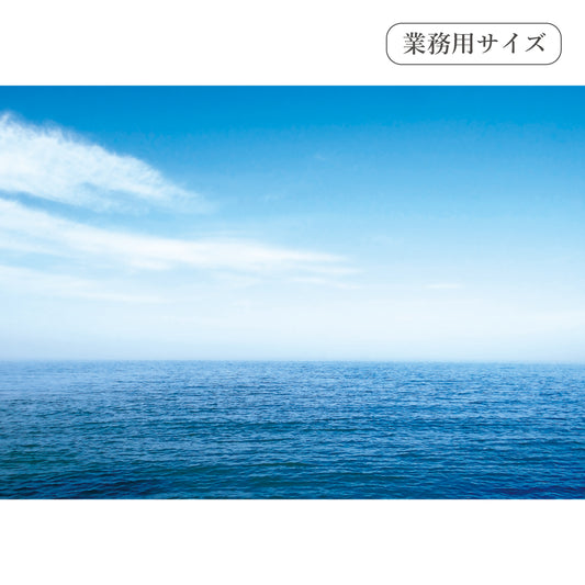 水平線　【業務用サイズ】