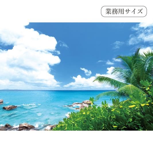 夏の磯　【業務用サイズ】