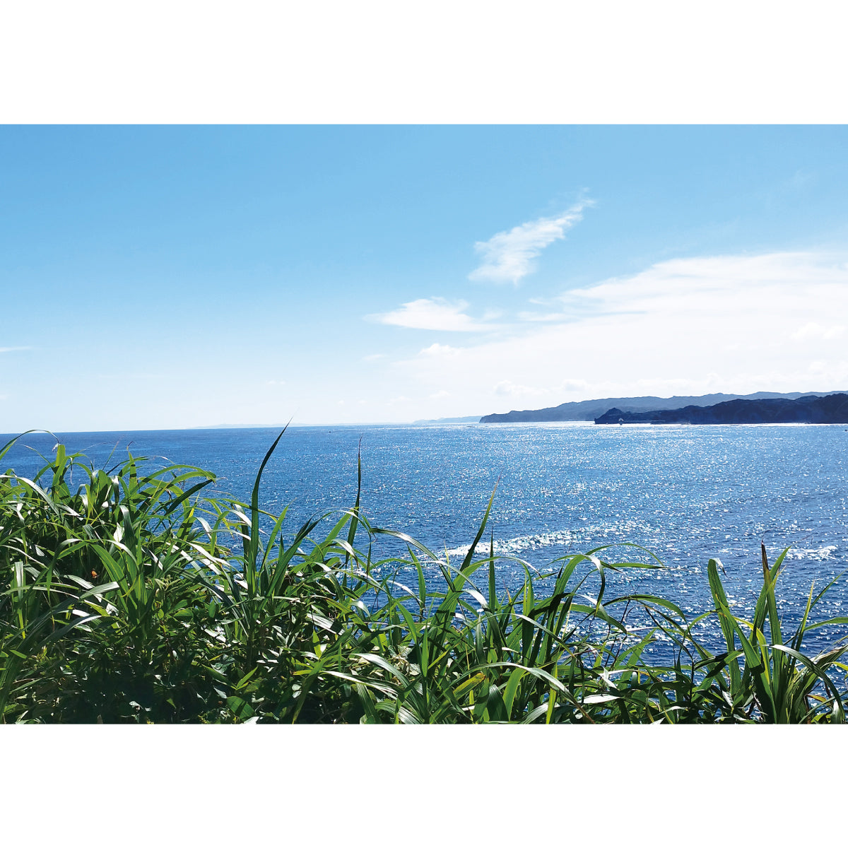 八幡岬（千葉県勝浦市）