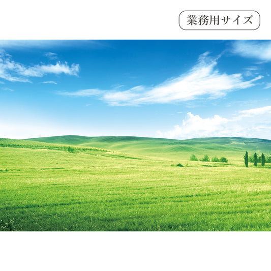 緑の丘　【業務用サイズ】