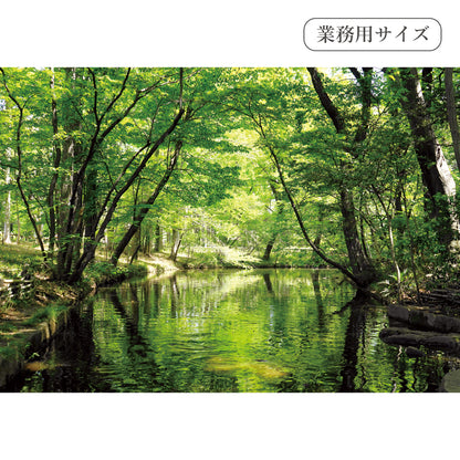 緑の小川　【業務用サイズ】