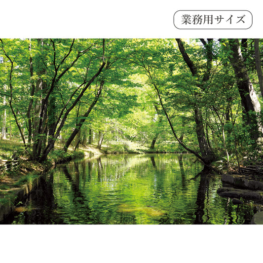 緑の小川　【業務用サイズ】