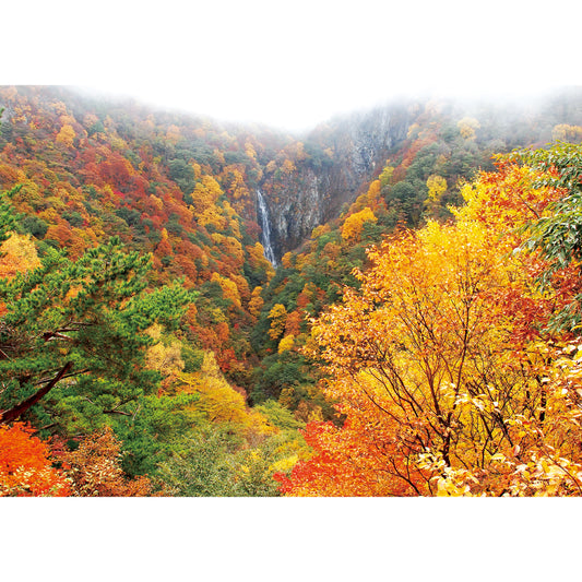 お風呂ポスター 紅葉と滝