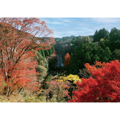 お風呂ポスター 粟又の滝と紅葉 横型（千葉県）