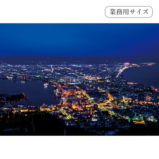 函館の夜景　【業務用サイズ】