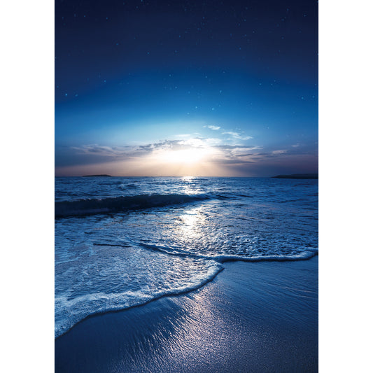 夜の砂浜(縦型)