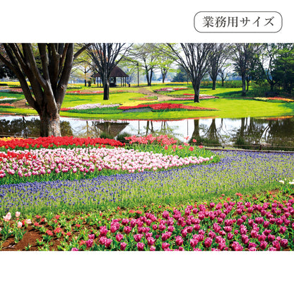 春の花と公園　【業務用サイズ】