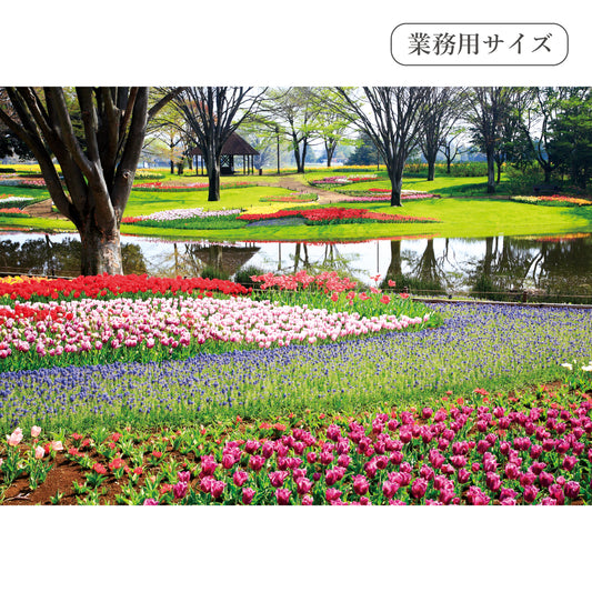 春の花と公園　【業務用サイズ】