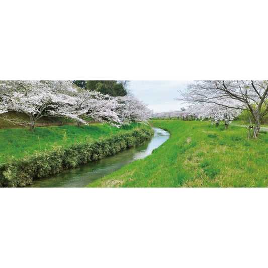 Inverted Fuji (panorama)