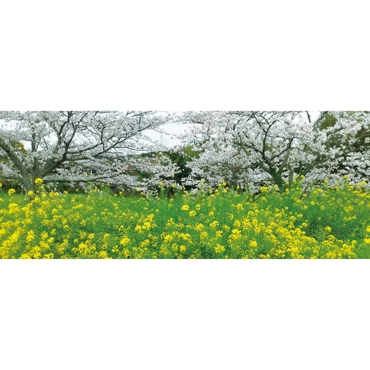 Inverted Fuji (panorama)