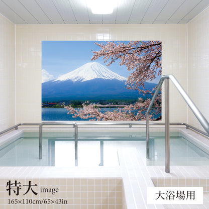 満開の桜と富士山　【業務用サイズ】