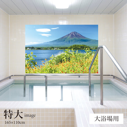 河口湖畔の花と富士山　【業務用サイズ】